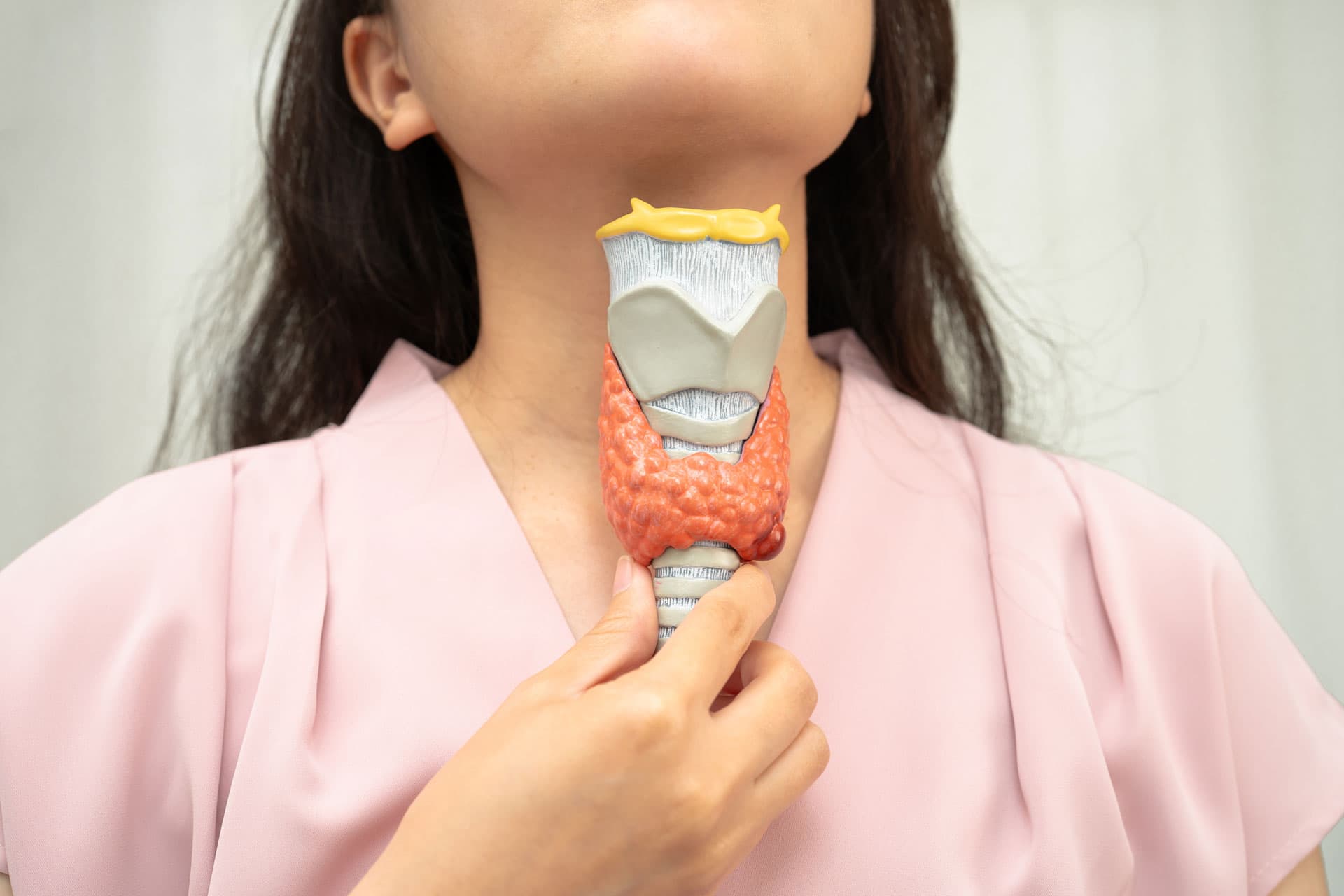 Tratar la tiroides en Ponferrada